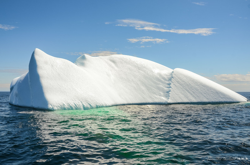 Iceberg #2