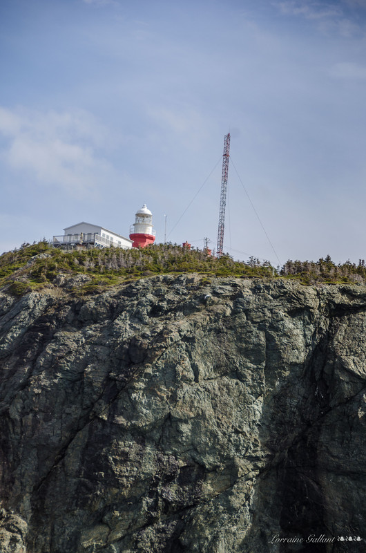 Phare - Long Point Lighthouse #3