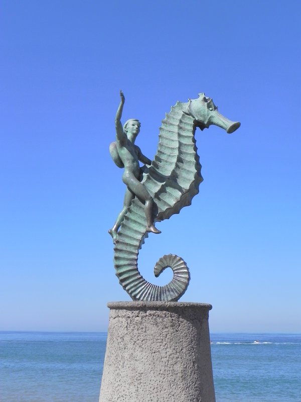 Hippocampe et son cavalier - Seahorse
