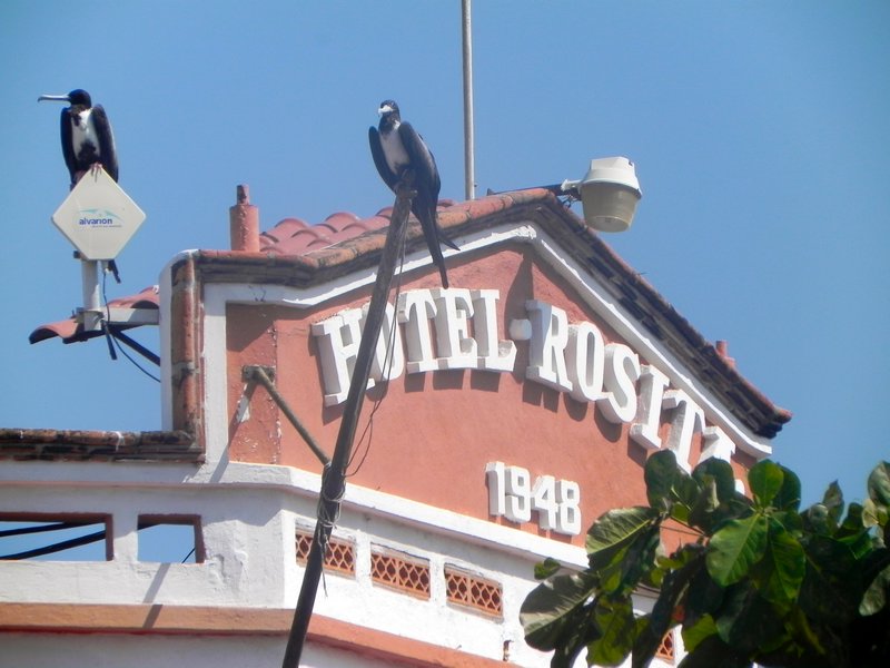 Hotel Rosita