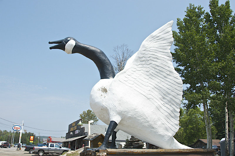 L'oie d'origine - The original goose