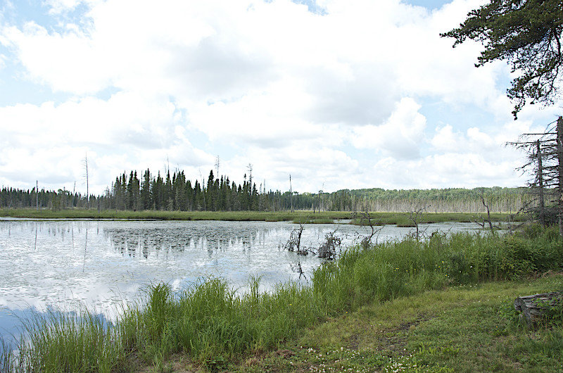 Petit lac - Small lake