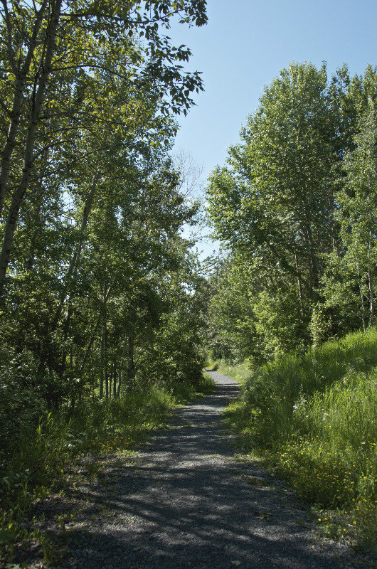 Sentier pédestre - Hiking trail