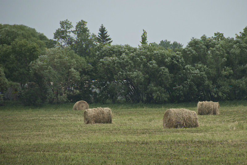 Les foins - Balls of hay