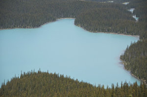 Lac Peyto - Peyto Lake