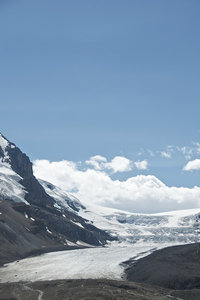 Glacier Athabasc