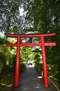 Jardin Japonais - Japanese garden