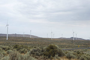 champs d'éoliennes - wind turbines fields