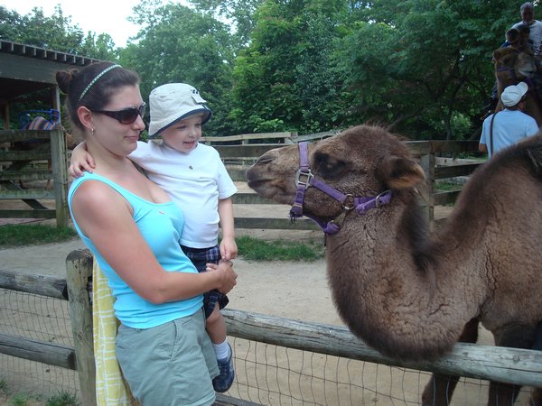 These camels were CRAZY!