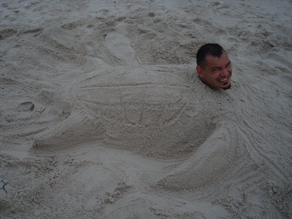 Sand turtle!