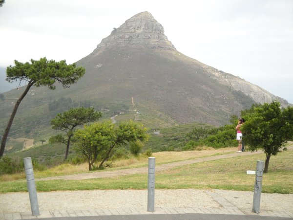 Lion's head from signal hill