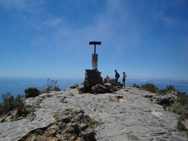 the top of lion's head