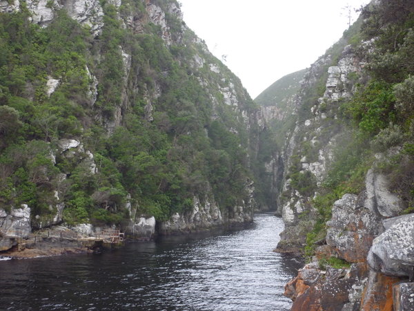 Tsitsikama National Park