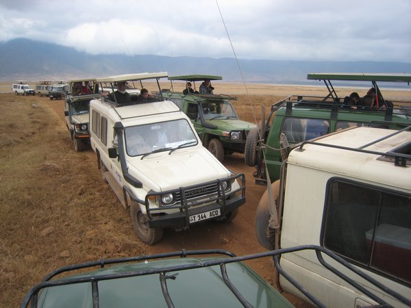 Ngorongoro traffic jam