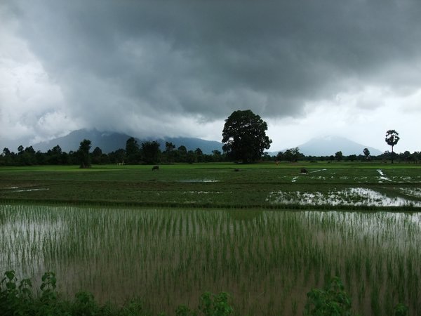 Laos 164