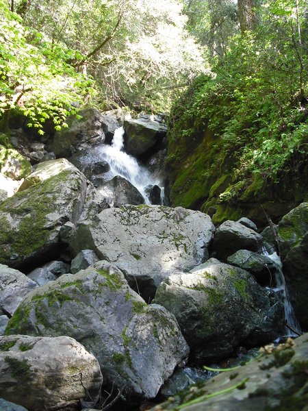 A waterfall near Sugaloaf ridge campsite