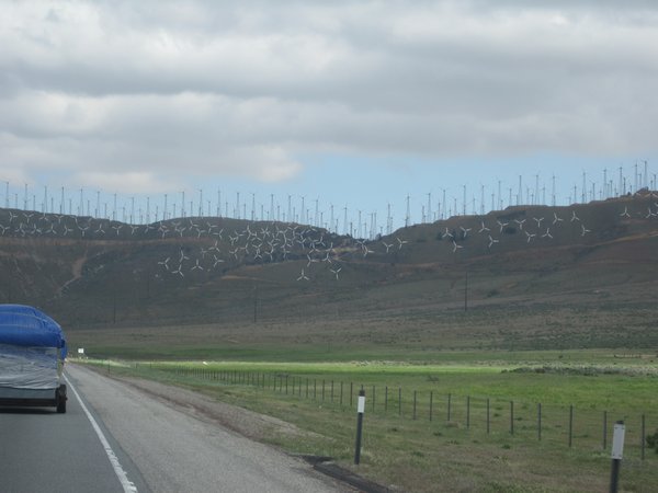 windmills!