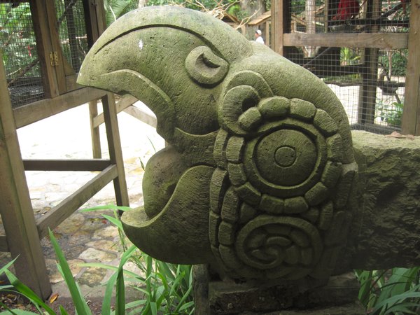Maccaw carving