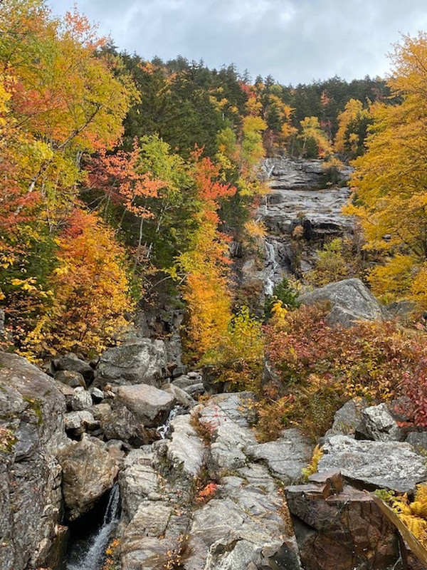 Waterfall with nice fall colours