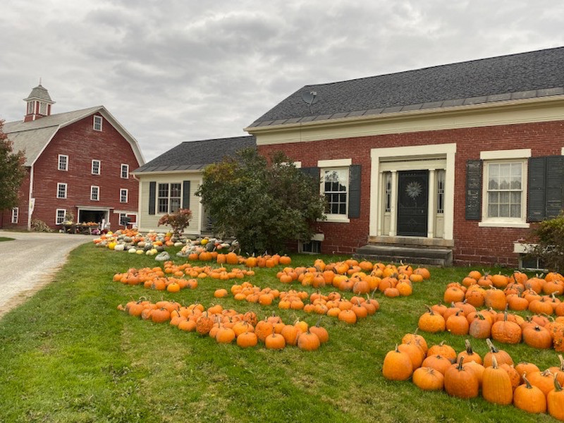 Nice pumpkin harvest display at a farm we passed by today.