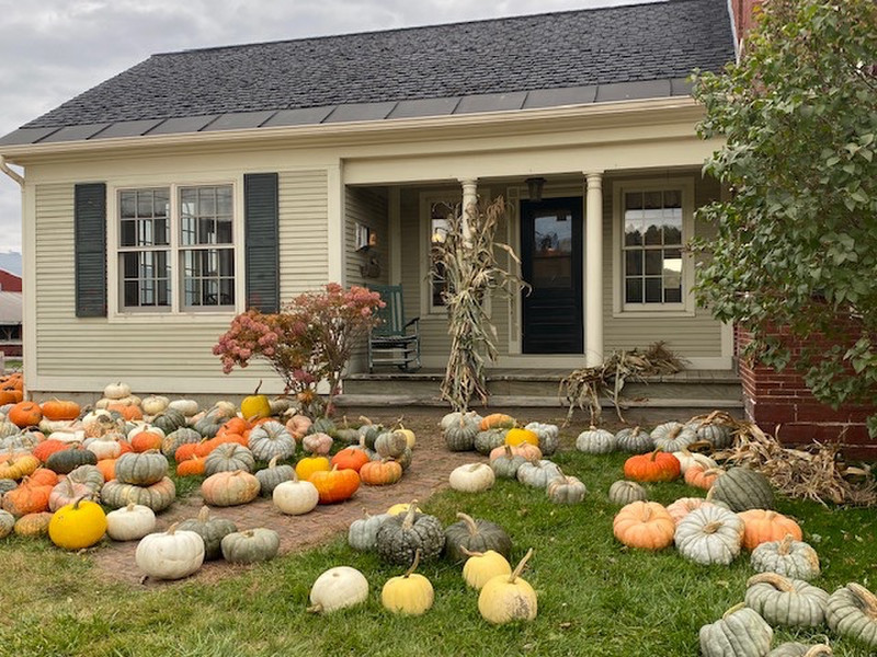 Another pumpkin harvest display.