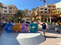 Welcome to Cabo