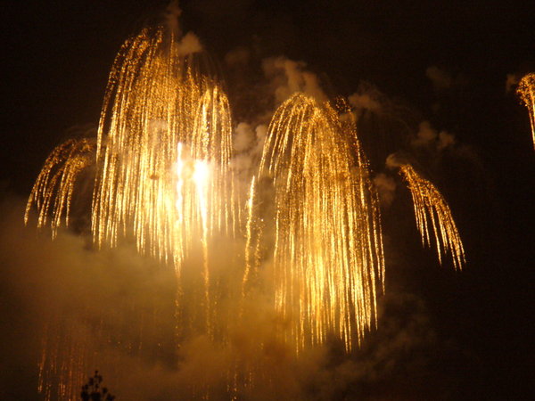Disneyland Fireworks 2