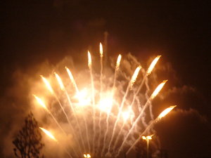 Disneyland Fireworks 1