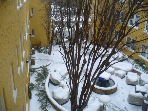 Courtyard after the snow storm
