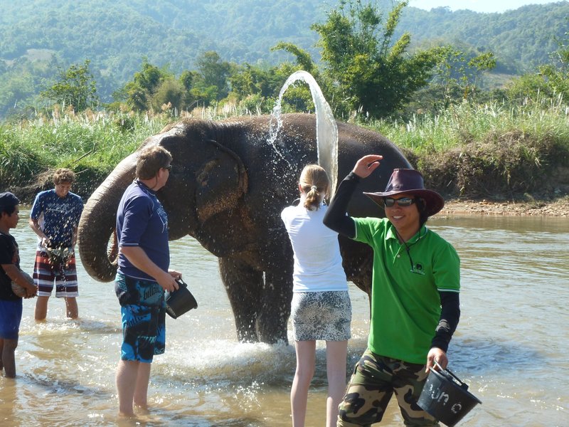 Washing Elephants in Chian Mai