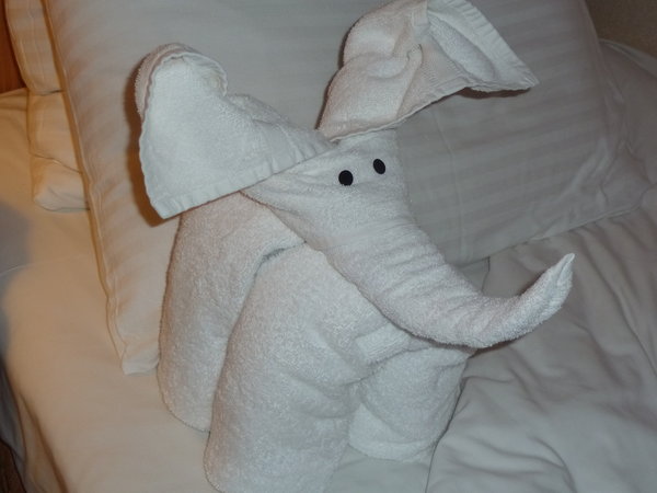 Towel Art - Elephant
