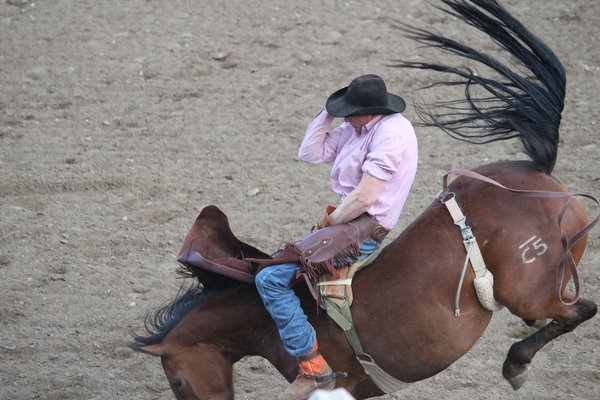 Rodeo # 1