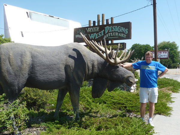 The nearest I came to a Moose !