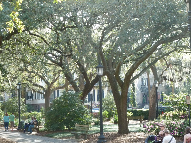 Typical Savannah Square