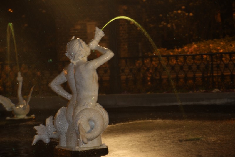 Forsythe Park fountain at night
