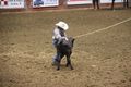 Rodeo Action # 2
