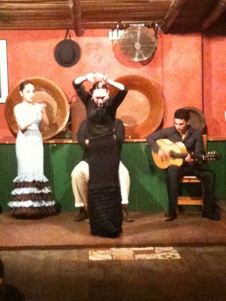 Flamenco in Sevilla - Muy passione!