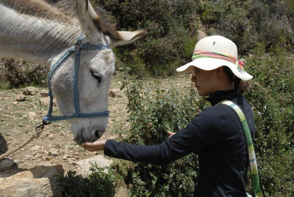 San feeding her donkey friend...