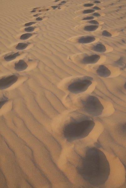 Footsteps up dune 45