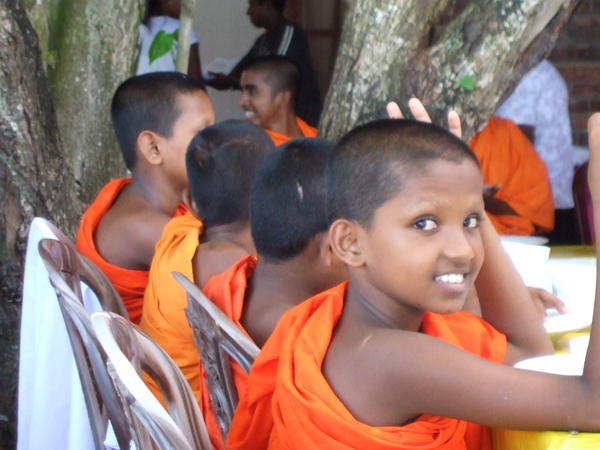 Cute novice monks