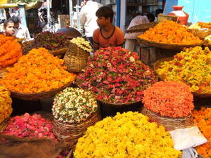 Flower seller - Hyderabad