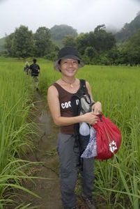 Fields of dry rice abound on the deforested slopes of North Laos