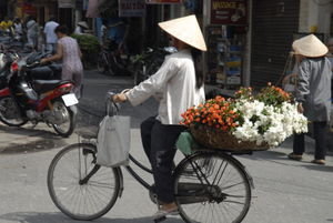 Typical bicycle seller in Hanoi