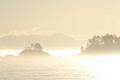 Morning mist from Inside Passage Ferry....
