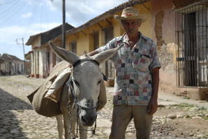Man and mule in the streets of Trinidad....