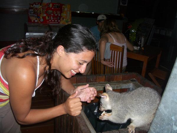 Efrat being introduced to a possum