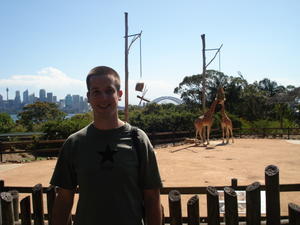 Paulie, Giraffes, bridge