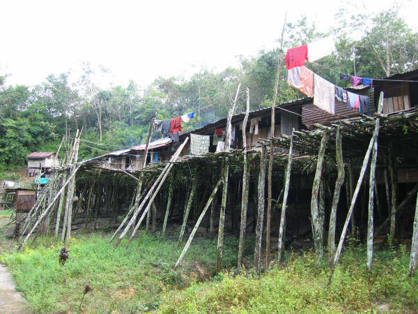 The Iban long house