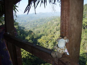 mini Bob in the treehouse
