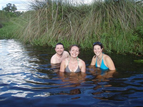 swimming in the marsh